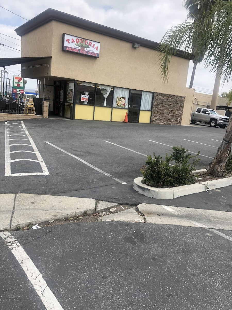 Taqueria Arbol Del Tule